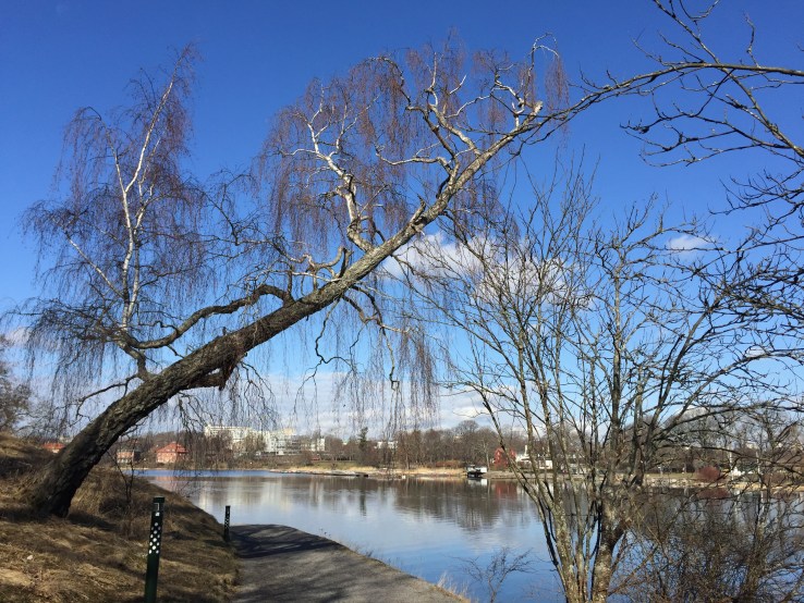 25865043670_718003631e_o