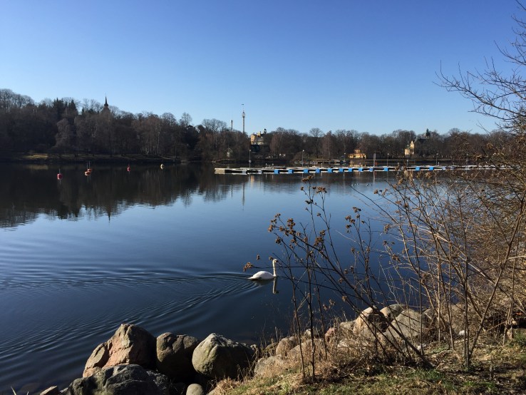 26071561381_f6787c5e61_o