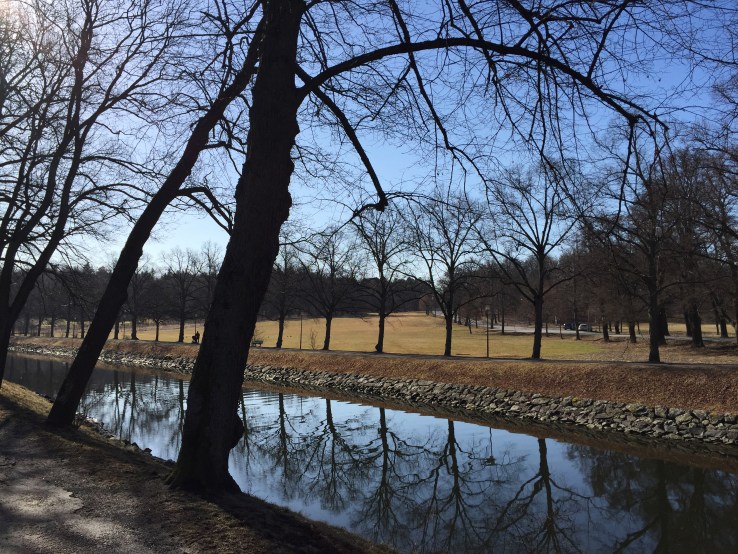 26071563941_5a36c935c1_o