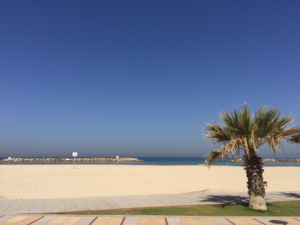 26497986125_30b78d170b_o