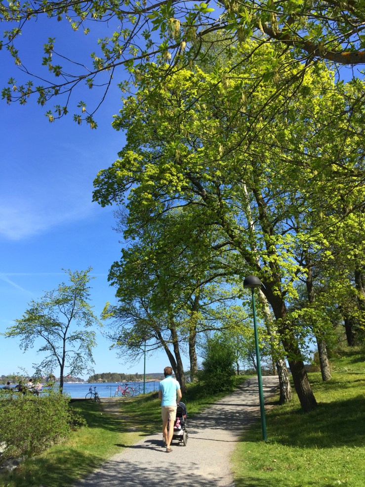 26287951303_9db53a0a5a_o