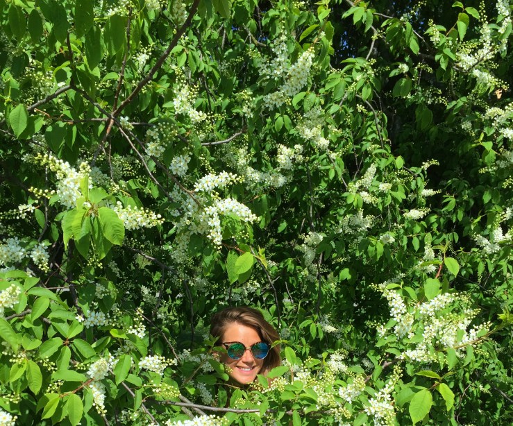 26892535235_dd42b6983d_o