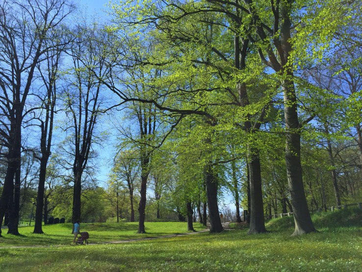 26893067395_4d1daa0f57_o