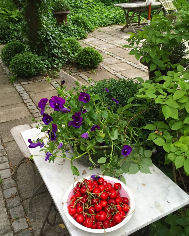 28091265881_665ec6a802_o